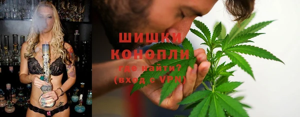 сатива Балабаново