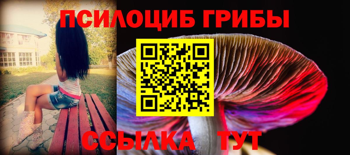 Краснокаменск  Галлюциногенные грибы Magic Shrooms  Вход с VPN 